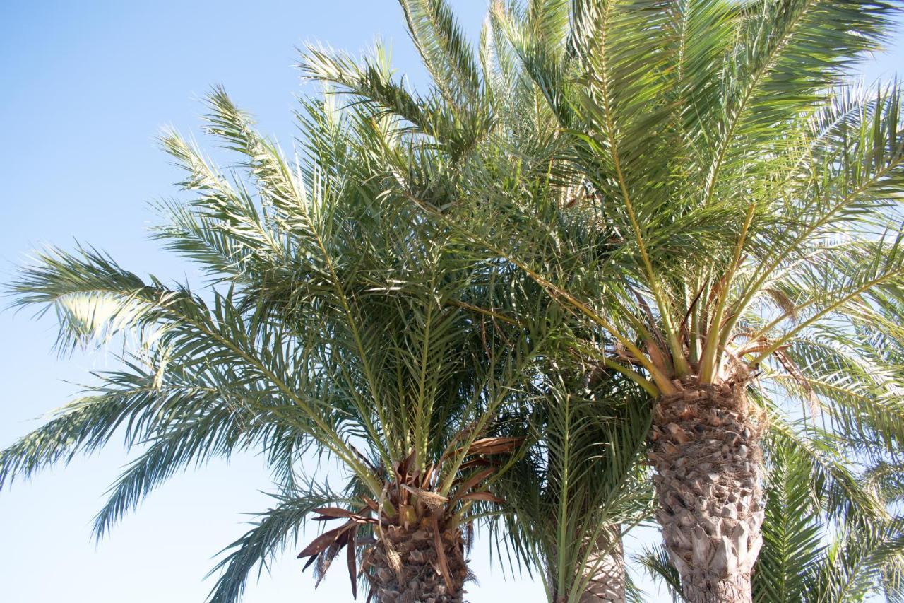 Rafaello Apartment ,,La Zona Cabo Roig, Area Cabo Roig" Orihuela Zewnętrze zdjęcie